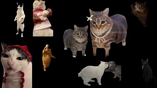 Snapshot of ch0wn_m chatting on 10-24-25, 10:44 ch0wn m online show from 10-24-25, 10:44