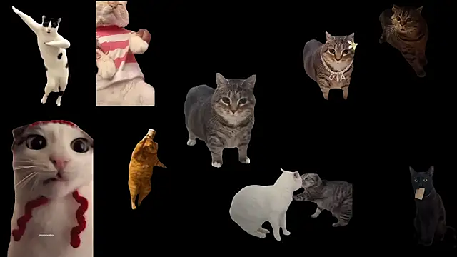 Snapshot of ch0wn_m chatting on 11-14-25, 01:21 ch0wn m online show from 11-14-25, 01:21