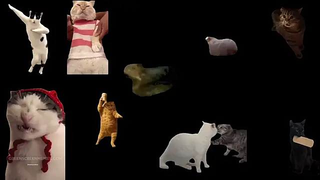 Snapshot of ch0wn_m chatting on 02-01-26, 02:59 ch0wn m online show from 02-01-26, 02:59