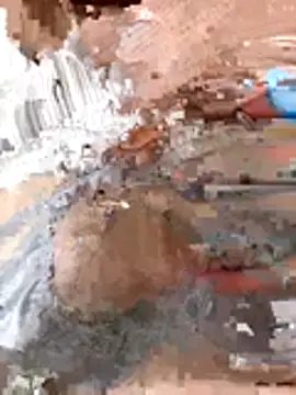 Snapshot of tw_swag chatting on 01-06-26, 07:45 tw swag online show from 01-06-26, 07:45