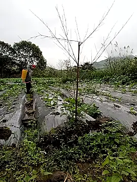 Snapshot of Exembin chatting on 10-24-25, 01:57 Exembin online show from 10-24-25, 01:57