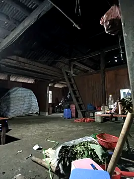 Snapshot of Exembin chatting on 11-08-25, 09:42 Exembin online show from 11-08-25, 09:42