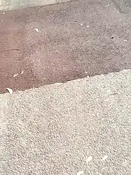 sonotutto online show from 11-02-25, 10:50