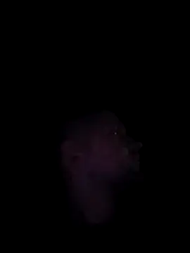 Mumuska online show from 12-03-25, 10:52