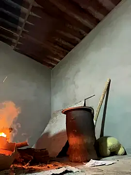 Sunny lotus online show from 12-15-25, 12:09