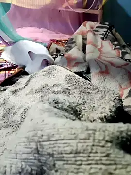 Snapshot of m11a2f3a4z5 chatting on 02-14-26, 11:51 m11a2f3a4z5 online show from 02-14-26, 11:51