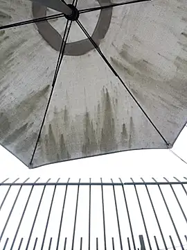 Sallem Pink online show from 04-22-26, 11:12