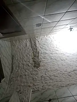 BrenoAvelar online show from 12-21-25, 01:57