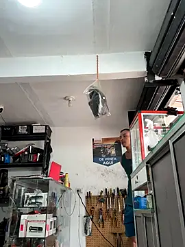 Terra-22cm online show from 10-18-25, 02:51