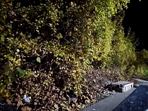 sloppytopkins online show from 11-06-25, 08:15