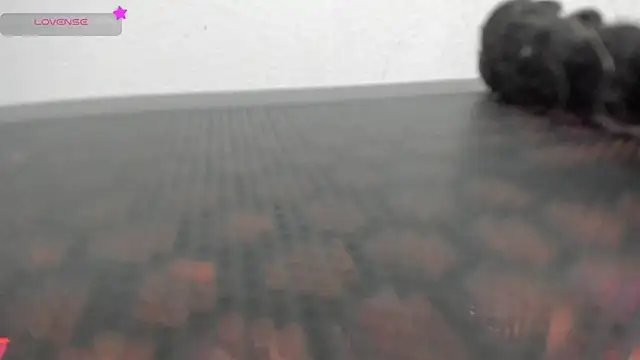 FluffyMelons online show from 04-01-26, 11:02