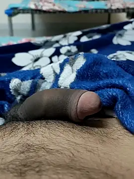 Bull54321 online show from 12-15-25, 04:33