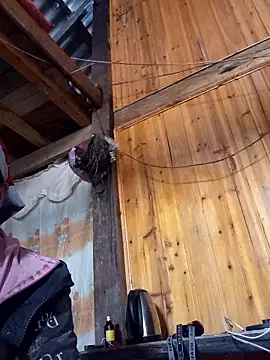 TinTin321 online show from 11-26-25, 05:41