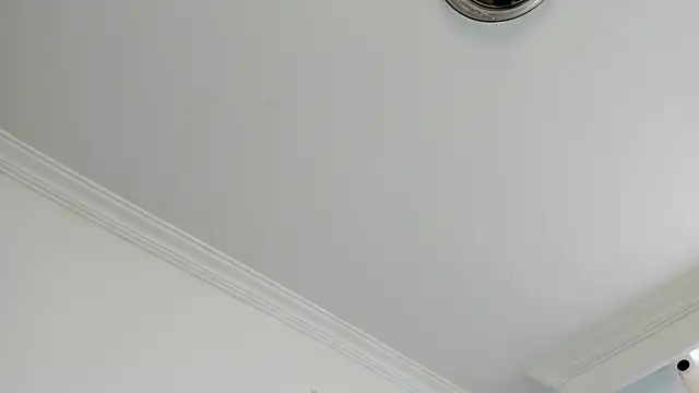 Snapshot of canelleGarces chatting on 10-17-25, 03:36 canelleGarces online show from 10-17-25, 03:36