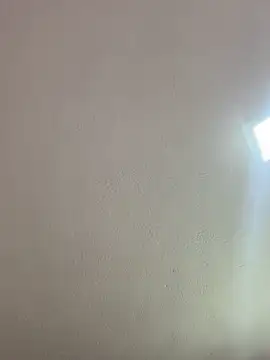 saranghae  online show from 03-28-26, 04:01