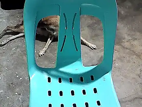 sexyannie25 online show from 11-24-25, 06:18