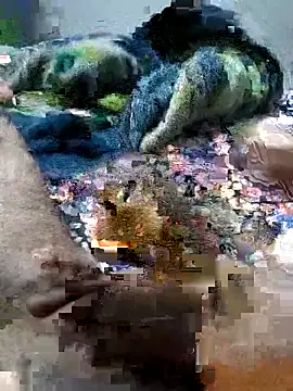 sitonmycock  online show from 10-06-25, 09:01