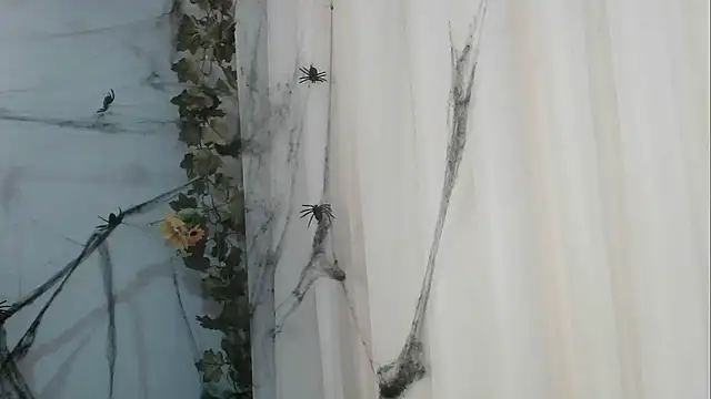 angelainparis28 online show from 10-21-25, 01:06