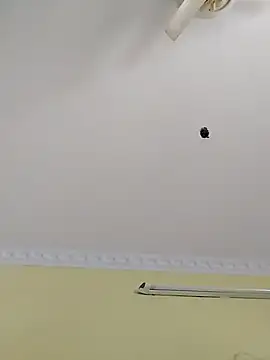 Snapshot of Monika_Telugu_Girl chatting on 11-14-25, 08:13 Monika Telugu Girl online show from 11-14-25, 08:13