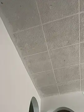 LICEET online show from 09-25-25, 03:27