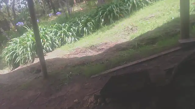 habdiela online show from 04-19-26, 04:06