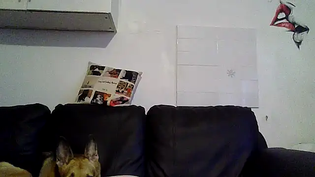 Snapshot of RubyyRosee chatting on 05-12-26, 05:26 RubyyRosee online show from 05-12-26, 05:26