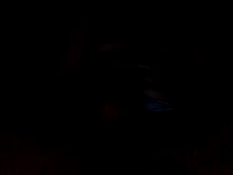 CaiBull online show from 10-26-25, 08:48