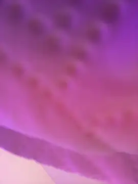 Snapshot of AmberMoss1 chatting on 11-27-25, 08:11 AmberMoss1 online show from 11-27-25, 08:11