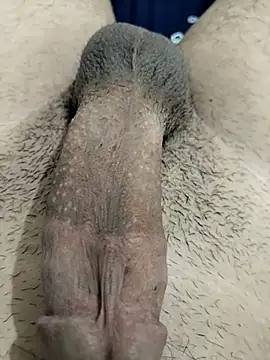 Zepe 12 online show from 11-30-25, 11:31