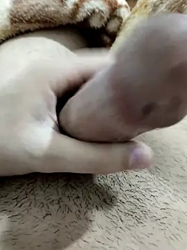 Zepe 12 online show from 02-13-26, 11:34