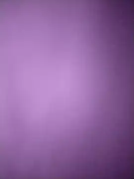 amolicars online show from 11-08-25, 02:06