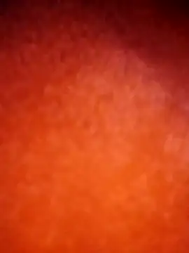 amolicars online show from 11-21-25, 07:45