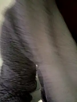 Snapshot of cameron334 chatting on 11-01-25, 01:29 cameron334 online show from 11-01-25, 01:29