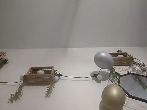 Snapshot of nousmeme0123 chatting on 02-20-26, 02:52 nousmeme0123 online show from 02-20-26, 02:52