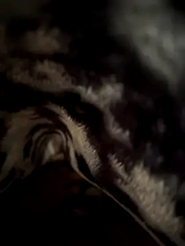 jackyw online show from 11-21-25, 06:12