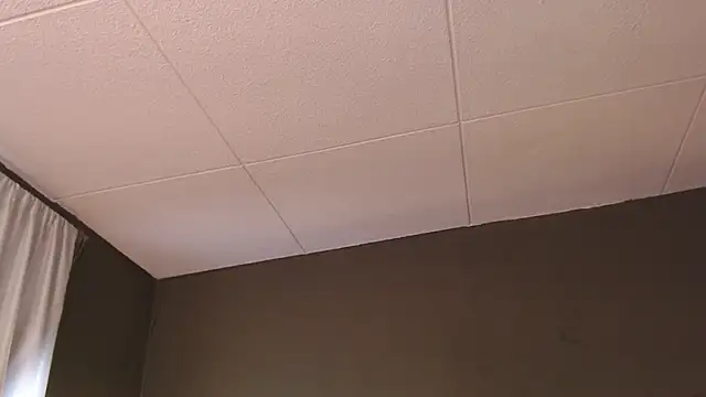 PaulEvens online show from 12-05-25, 01:31