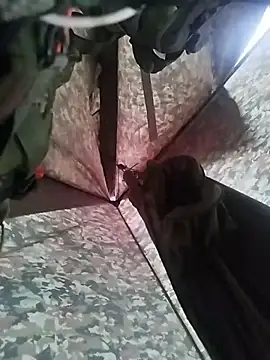 Alabestia12 online show from 11-05-25, 09:48