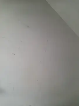 iamlalamilano online show from 03-29-26, 03:01