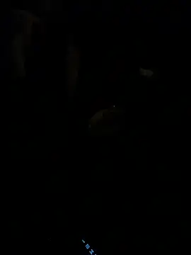 HorneyCowboy154 online show from 02-25-26, 04:11