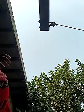 heena3355 online show from 12-02-25, 03:56