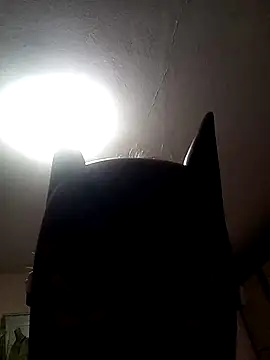 AmandaXXX98 online show from 11-17-25, 02:56