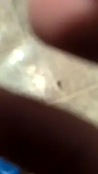 Snapshot of DecimalPoint222InchCock chatting on 11-10-25, 11:15 DecimalPoint222InchCock online show from 11-10-25, 11:15