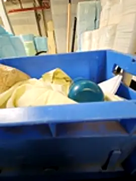 Stingles online show from 03-17-26, 12:41