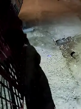 nughtytommy01 online show from 04-10-26, 08:02