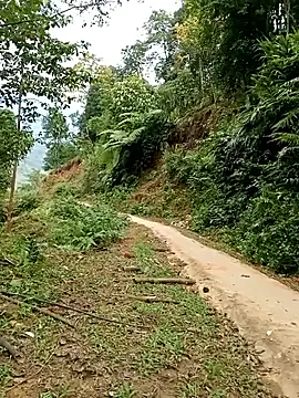 Snapshot of Dung-Thao19 chatting on 11-24-25, 02:55 Dung-Thao19 online show from 11-24-25, 02:55