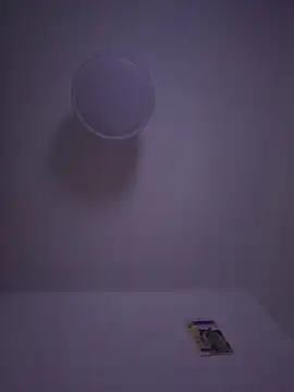 gigolobcn online show from 02-22-26, 05:33