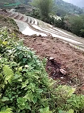 PhamPm70 online show from 04-02-26, 09:51