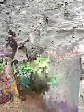 Snapshot of pegaso369 chatting on 06-16-26, 02:52 pegaso369 online show from 06-16-26, 02:52