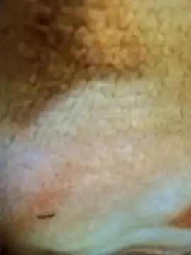 Snapshot of HOT-MUNDA chatting on 12-17-25, 01:33 HOT-MUNDA online show from 12-17-25, 01:33