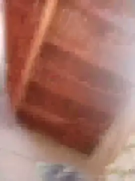 Snapshot of HOT-MUNDA chatting on 02-09-26, 09:02 HOT-MUNDA online show from 02-09-26, 09:02